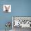 Sphynx Cat, 1 Year Old, in Front of White Background-Eric Isselee-Photographic Print displayed on a wall