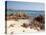 Spiaggia Rosa (Pink Beach) on Island of Budelli, La Maddalena Nat'l Park, Sardinia, Italy-Oliviero Olivieri-Stretched Canvas