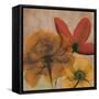 Spice Avalon I-Albert Koetsier-Framed Stretched Canvas