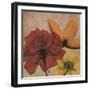 Spice Avalon VI-Albert Koetsier-Framed Art Print