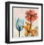 Spice Avalon XI-Albert Koetsier-Framed Art Print