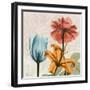 Spice Avalon XI-Albert Koetsier-Framed Art Print