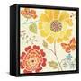 Spice  Bouquet III-Daphne Brissonnet-Framed Stretched Canvas