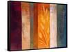 Spice II-Vivien Rhyan-Framed Stretched Canvas