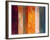 Spice II-Vivien Rhyan-Framed Art Print