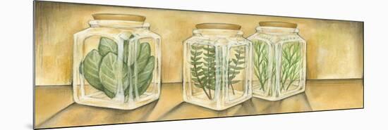 Spice Jars I-Laura Nathan-Mounted Premium Giclee Print