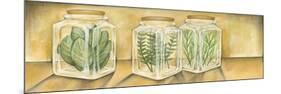 Spice Jars I-Laura Nathan-Mounted Premium Giclee Print