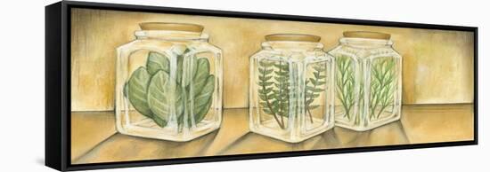 Spice Jars I-Laura Nathan-Framed Stretched Canvas