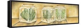 Spice Jars I-Laura Nathan-Framed Stretched Canvas