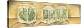 Spice Jars I-Laura Nathan-Stretched Canvas