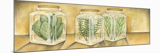 Spice Jars I-Laura Nathan-Mounted Premium Giclee Print