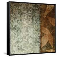 Spice Leaves 1A-Kristin Emery-Framed Stretched Canvas