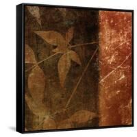 Spice Leaves 1B-Kristin Emery-Framed Stretched Canvas