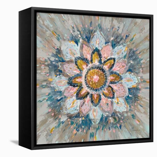 Spice Mandala-Danhui Nai-Framed Stretched Canvas