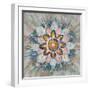 Spice Mandala-Danhui Nai-Framed Art Print