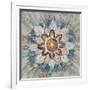 Spice Mandala-Danhui Nai-Framed Art Print