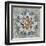 Spice Mandala-Danhui Nai-Framed Art Print