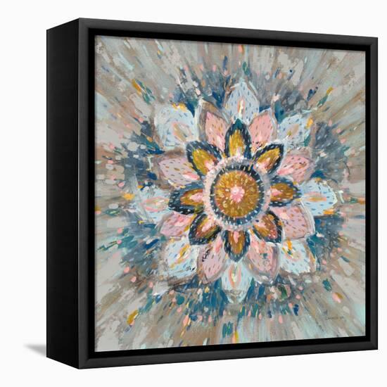Spice Mandala-Danhui Nai-Framed Stretched Canvas