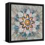 Spice Mandala-Danhui Nai-Framed Stretched Canvas