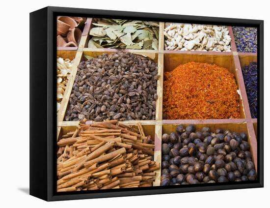 Spice Market, Dubai, United Arab Emirates, Middle East-Nico Tondini-Framed Stretched Canvas