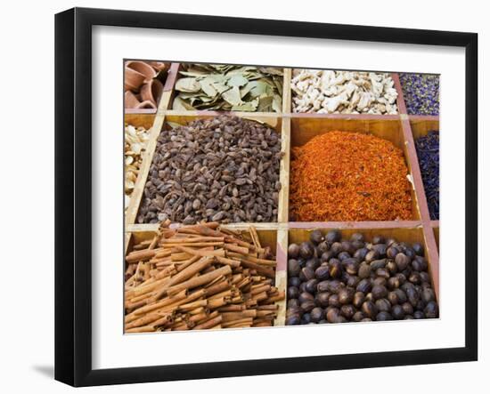 Spice Market, Dubai, United Arab Emirates, Middle East-Nico Tondini-Framed Premium Photographic Print