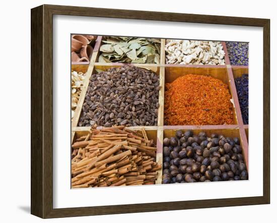 Spice Market, Dubai, United Arab Emirates, Middle East-Nico Tondini-Framed Photographic Print