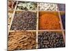 Spice Market, Dubai, United Arab Emirates, Middle East-Nico Tondini-Mounted Photographic Print