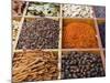 Spice Market, Dubai, United Arab Emirates, Middle East-Nico Tondini-Mounted Photographic Print