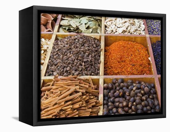 Spice Market, Dubai, United Arab Emirates, Middle East-Nico Tondini-Framed Stretched Canvas