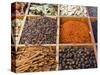 Spice Market, Dubai, United Arab Emirates, Middle East-Nico Tondini-Stretched Canvas