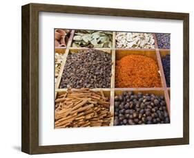 Spice Market, Dubai, United Arab Emirates, Middle East-Nico Tondini-Framed Photographic Print