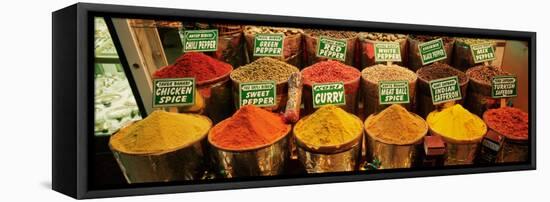 Spice Market Istanbul Turkey-null-Framed Stretched Canvas