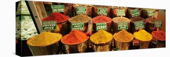 Spice Market Istanbul Turkey-null-Stretched Canvas