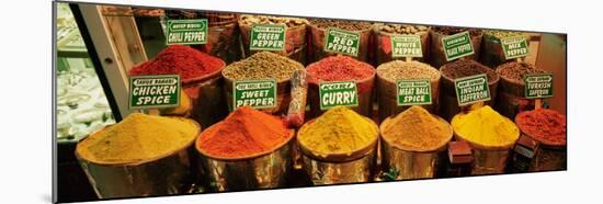 Spice Market Istanbul Turkey-null-Mounted Premium Photographic Print