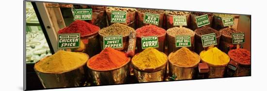 Spice Market Istanbul Turkey-null-Mounted Photographic Print