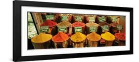 Spice Market Istanbul Turkey-null-Framed Photographic Print