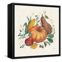 Spice Season VII-Daphne Brissonnet-Framed Stretched Canvas