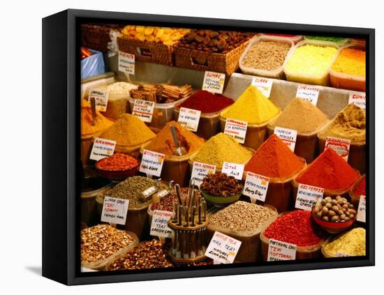 Spice Shop at the Spice Bazaar, Istanbul, Turkey, Europe-Levy Yadid-Framed Stretched Canvas