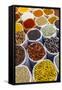 Spice Shop at the Wednesday Flea Market in Anjuna, Goa, India, Asia-Yadid Levy-Framed Stretched Canvas