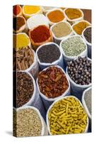 Spice Shop at the Wednesday Flea Market in Anjuna, Goa, India, Asia-Yadid Levy-Stretched Canvas