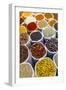 Spice Shop at the Wednesday Flea Market in Anjuna, Goa, India, Asia-Yadid Levy-Framed Photographic Print