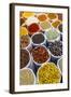 Spice Shop at the Wednesday Flea Market in Anjuna, Goa, India, Asia-Yadid Levy-Framed Photographic Print