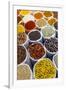 Spice Shop at the Wednesday Flea Market in Anjuna, Goa, India, Asia-Yadid Levy-Framed Photographic Print