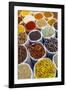 Spice Shop at the Wednesday Flea Market in Anjuna, Goa, India, Asia-Yadid Levy-Framed Photographic Print