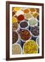 Spice Shop at the Wednesday Flea Market in Anjuna, Goa, India, Asia-Yadid Levy-Framed Photographic Print