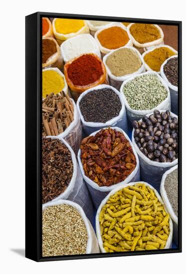 Spice Shop at the Wednesday Flea Market in Anjuna, Goa, India, Asia-Yadid Levy-Framed Stretched Canvas