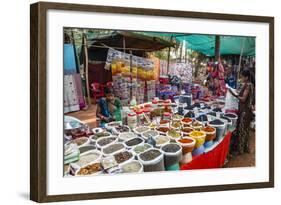 Spice Shop at the Wednesday Flea Market in Anjuna, Goa, India, Asia-Yadid Levy-Framed Photographic Print