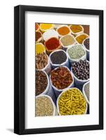 Spice Shop at the Wednesday Flea Market in Anjuna, Goa, India, Asia-Yadid Levy-Framed Photographic Print