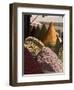 Spice Stall Near Qzadria Square, Marrakech, Morocco, North Africa, Africa-Ethel Davies-Framed Photographic Print