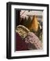 Spice Stall Near Qzadria Square, Marrakech, Morocco, North Africa, Africa-Ethel Davies-Framed Photographic Print